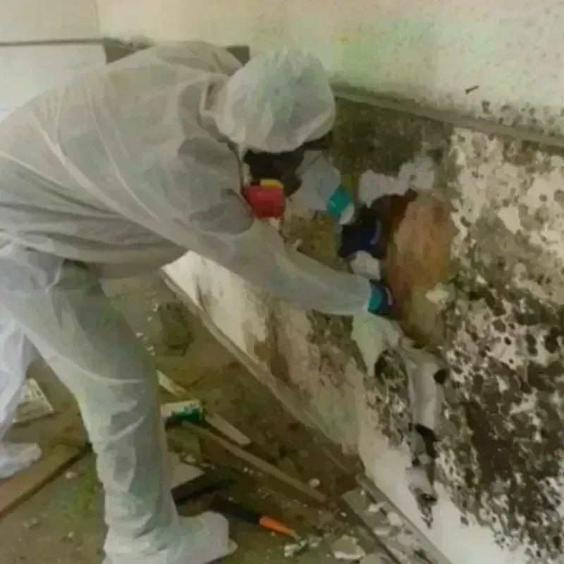 Mold Remediation and Removal in Mendham, NJ